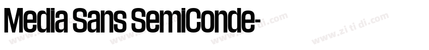 Media Sans SemiConde字体转换